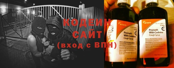 прущие грибы Липки