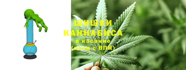прущие грибы Липки