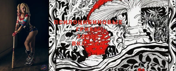 прущие грибы Липки