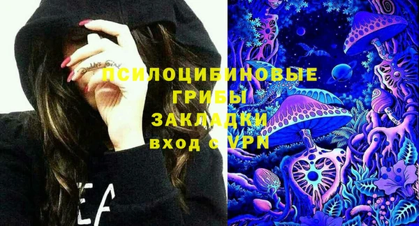 прущие грибы Липки