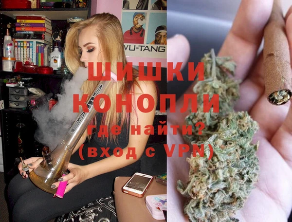 прущие грибы Липки