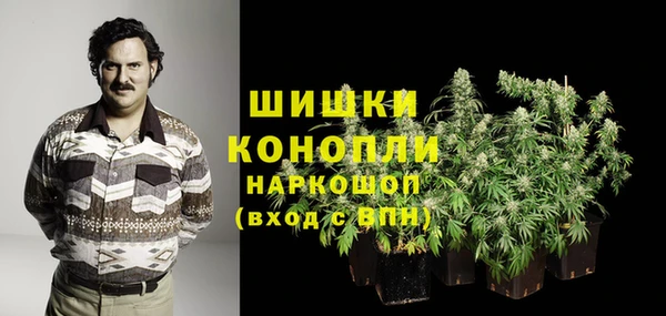 прущие грибы Липки