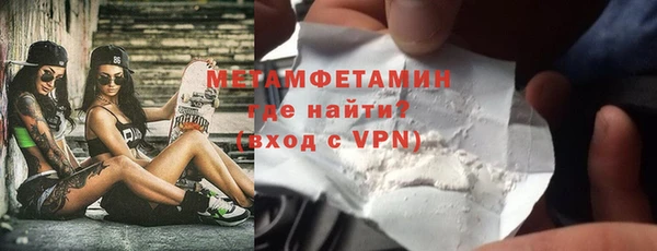 прущие грибы Липки