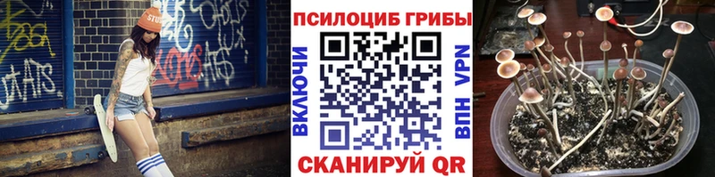 Купить закладки  Пестово  Псилоцибиновые грибы Psilocybine cubensis 